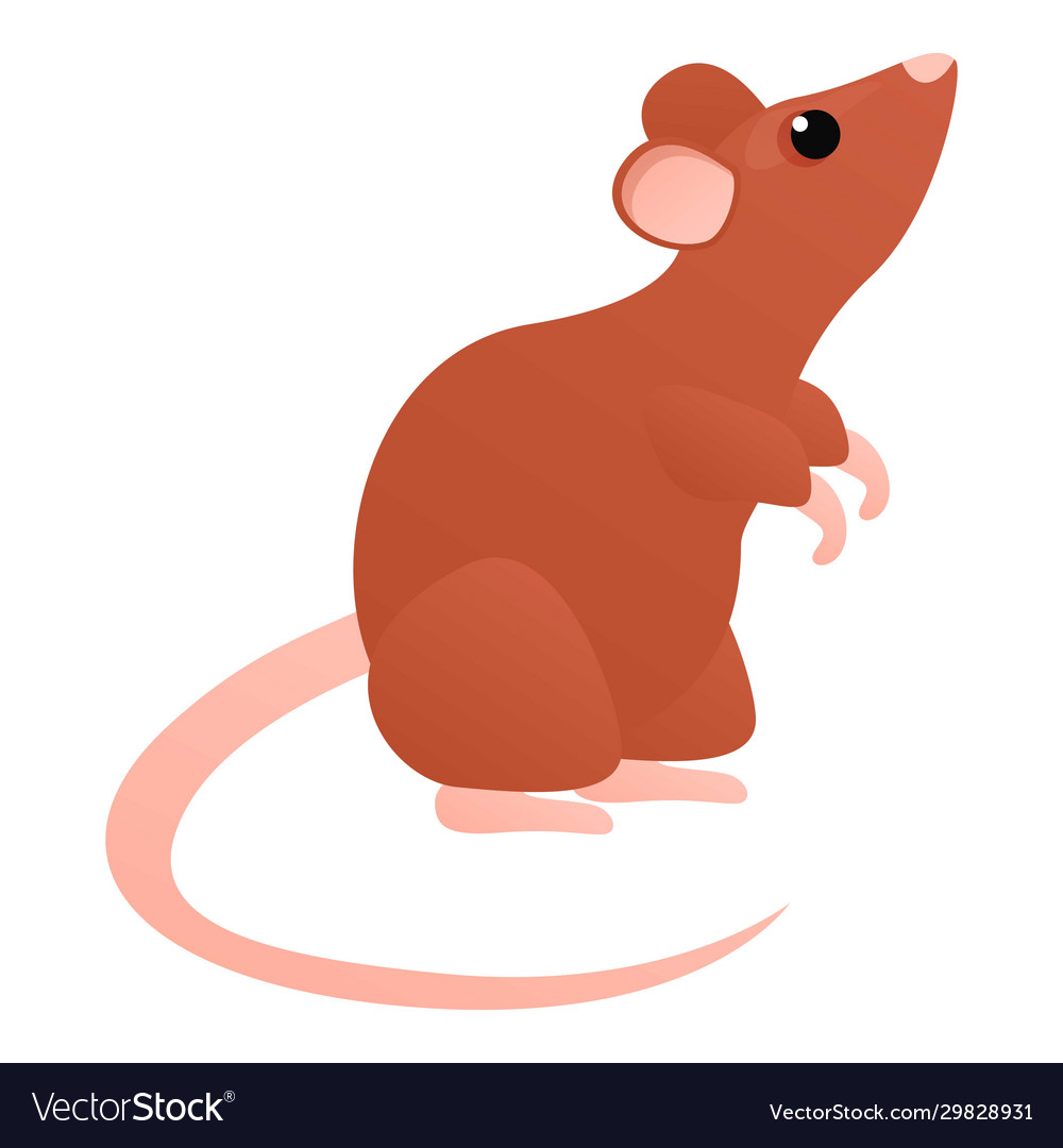 Detail Cute Rat Png Nomer 40