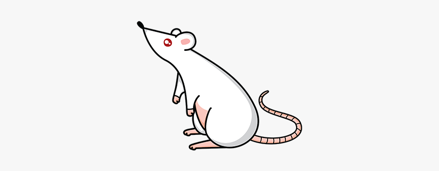 Detail Cute Rat Png Nomer 54