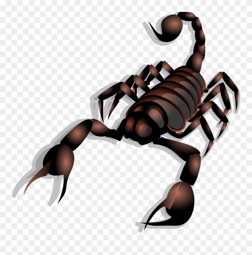 Detail Cute Scorpion Clipart Nomer 35