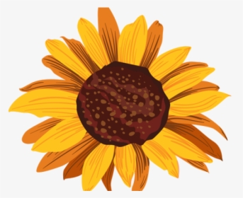 Detail Cute Sunflower Png Nomer 14