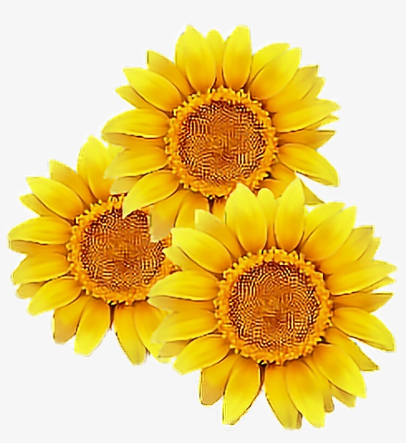 Detail Cute Sunflower Png Nomer 24