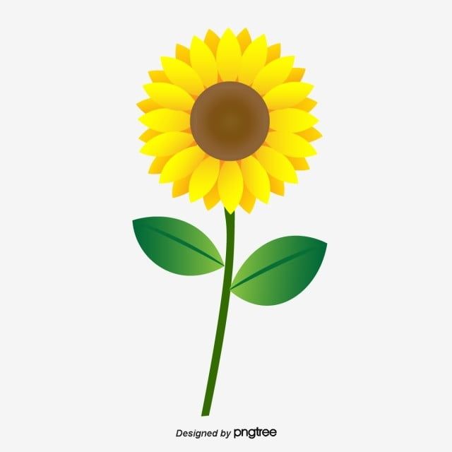 Detail Cute Sunflower Png Nomer 28