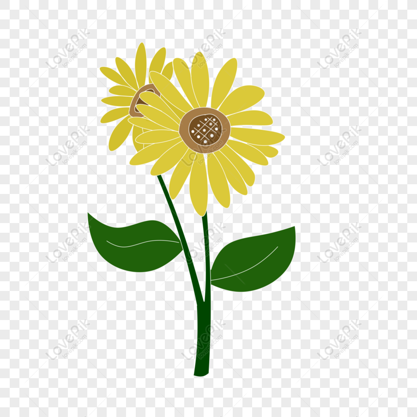 Detail Cute Sunflower Png Nomer 35