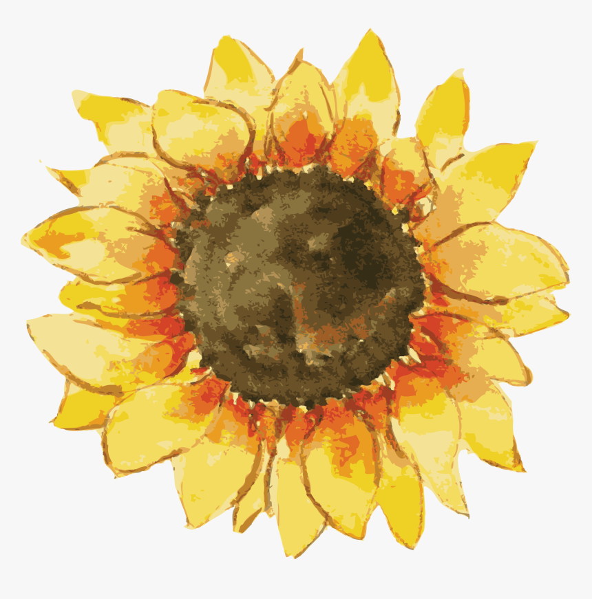 Detail Cute Sunflower Png Nomer 5