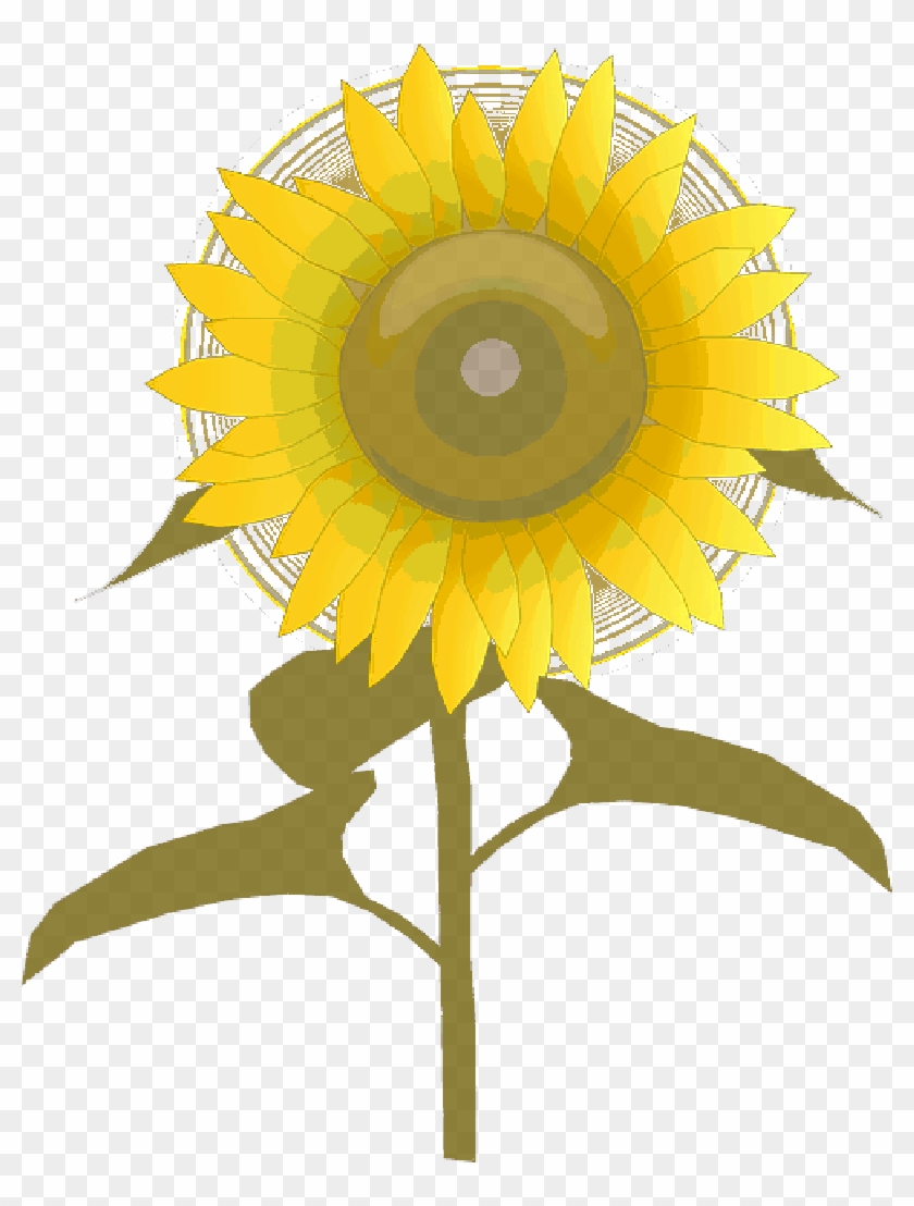 Detail Cute Sunflower Png Nomer 49