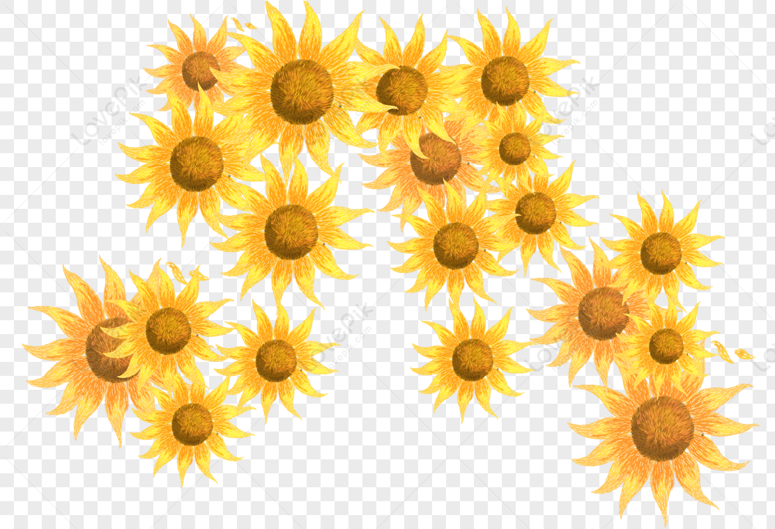 Detail Cute Sunflower Png Nomer 55