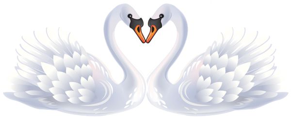 Detail Cute Swan Clipart Nomer 26