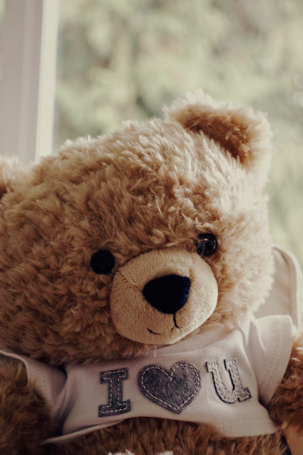 Cute Teddy Bear Pictures - KibrisPDR