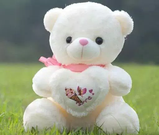 Detail Cute Teddy Bear Pictures Nomer 54