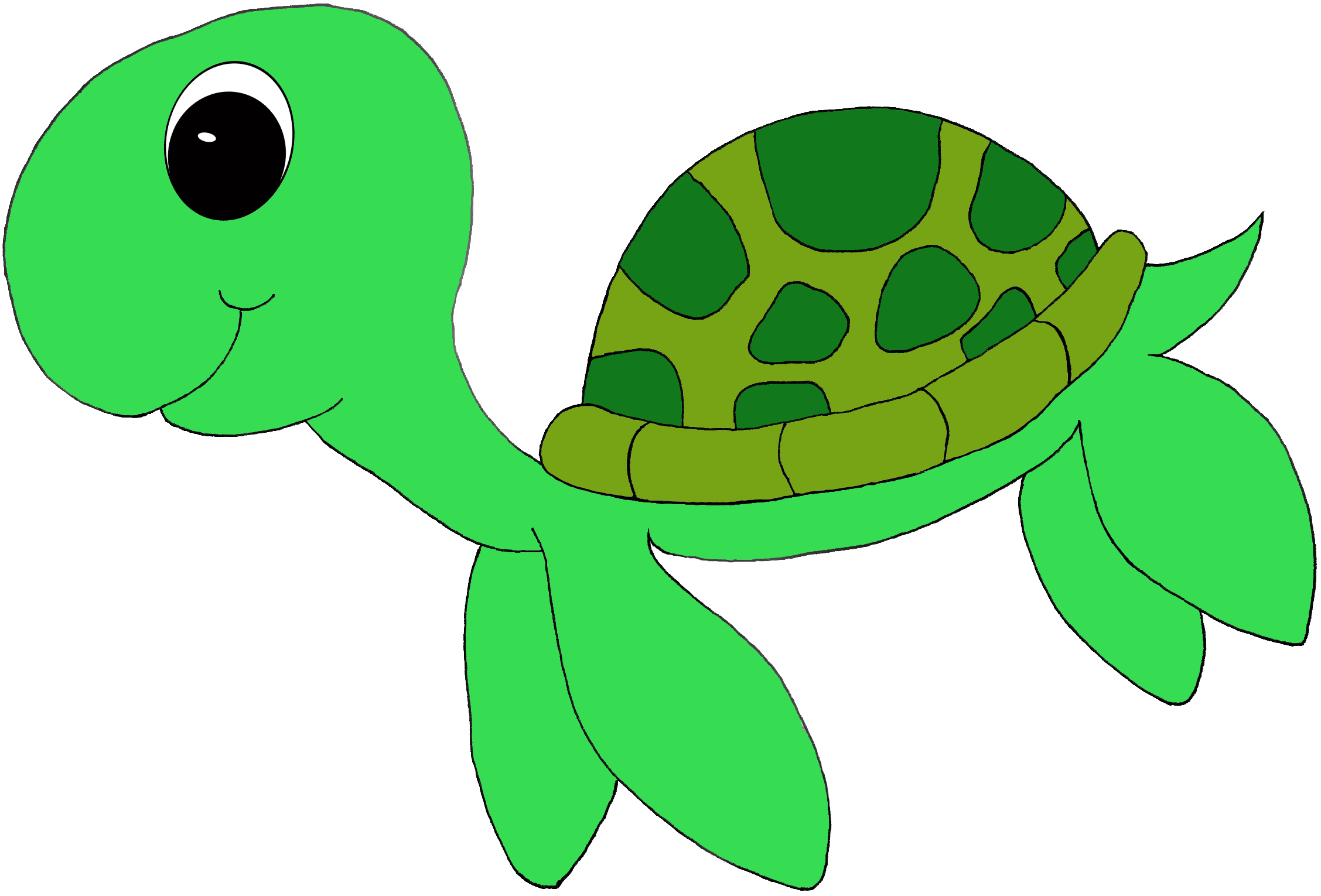 Detail Cute Turtle Clipart Nomer 12
