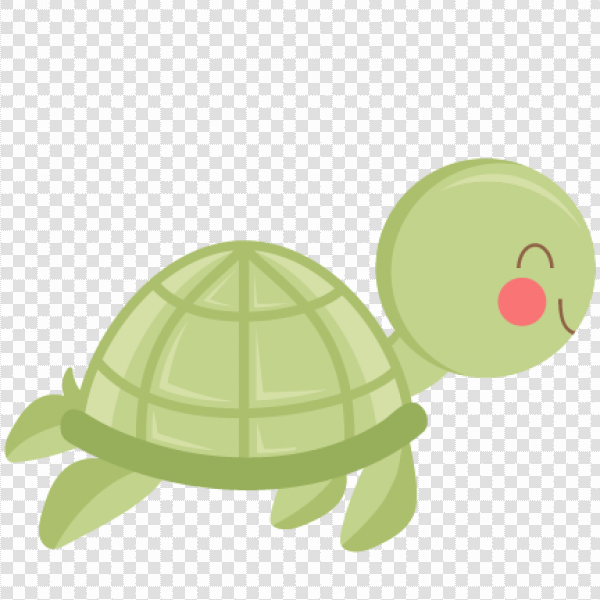 Detail Cute Turtle Png Nomer 6