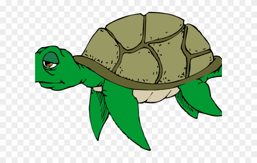 Detail Cute Turtle Png Nomer 49