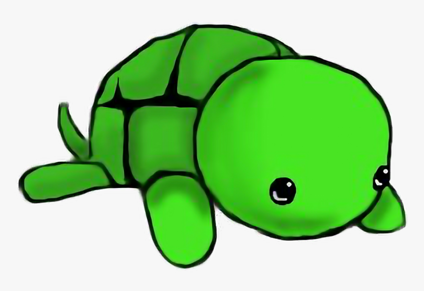 Detail Cute Turtle Png Nomer 52