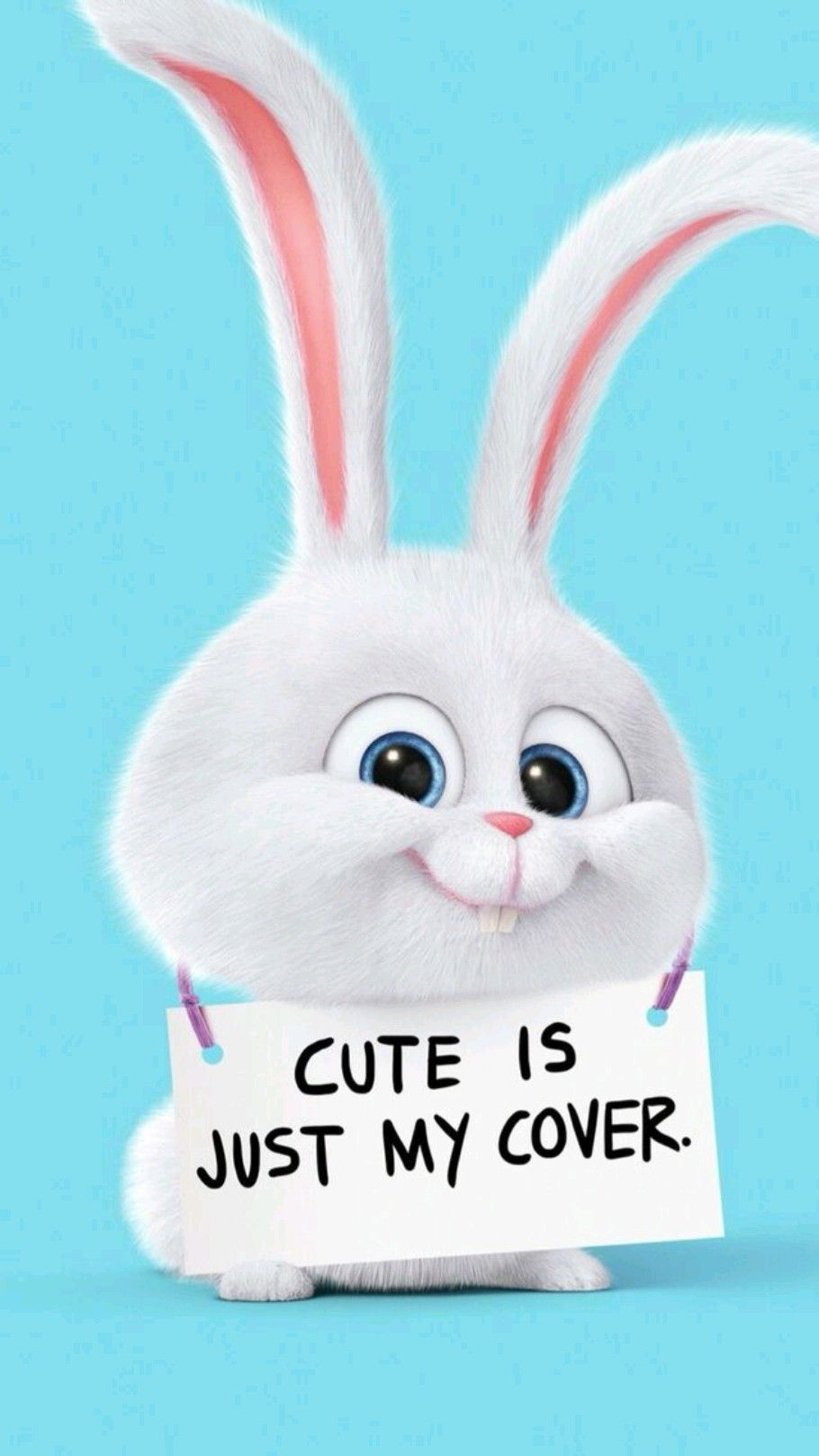 Cute Wallpapers Bunny - KibrisPDR