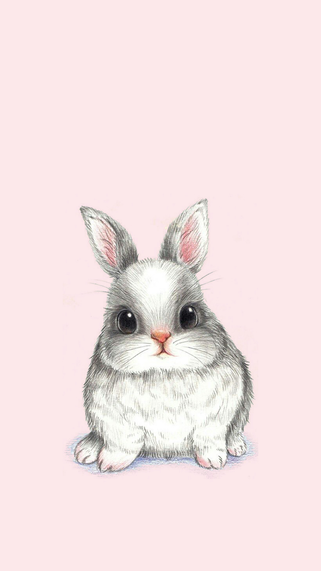 Detail Cute Wallpapers Bunny Nomer 14