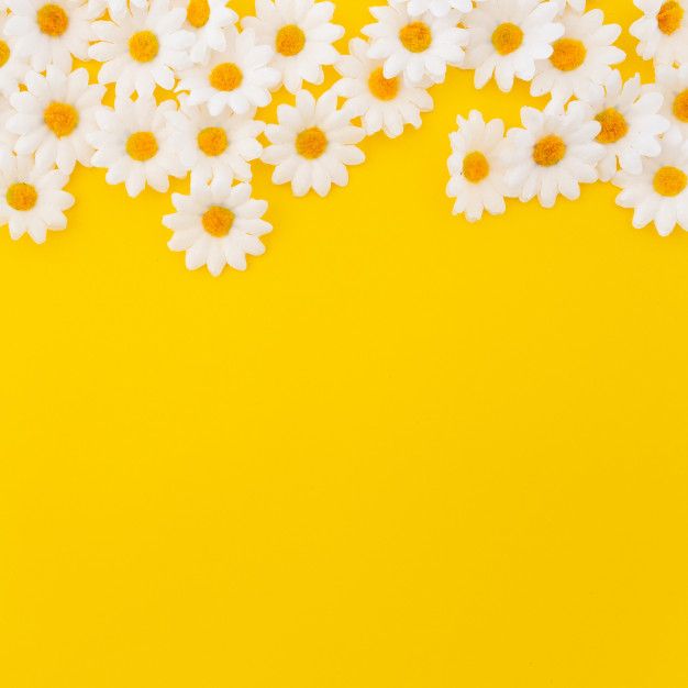 Detail Cute Yellow Background Nomer 27
