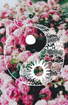 Detail Cute Yin Yang Wallpaper Nomer 38