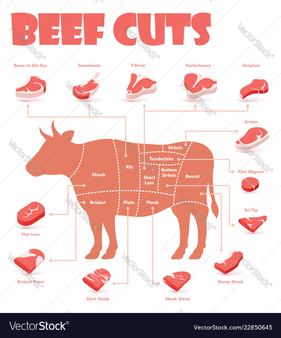 Detail Cuts Of Beef Images Nomer 17