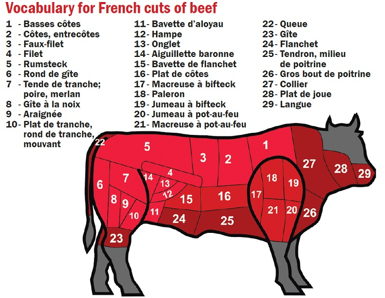 Detail Cuts Of Beef Images Nomer 22