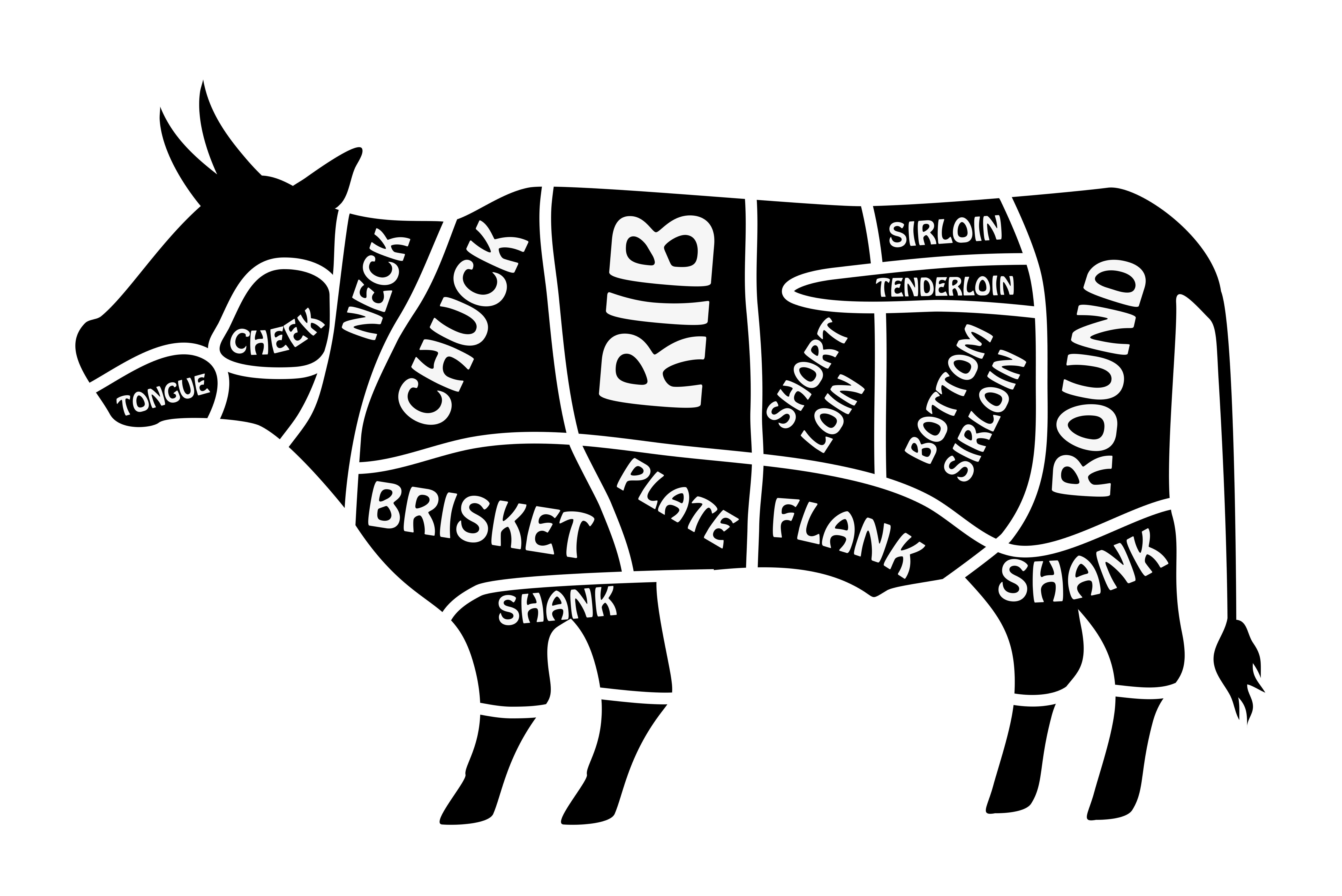 Detail Cuts Of Beef Images Nomer 4