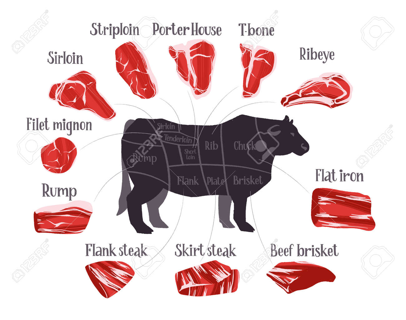 Detail Cuts Of Beef Images Nomer 40