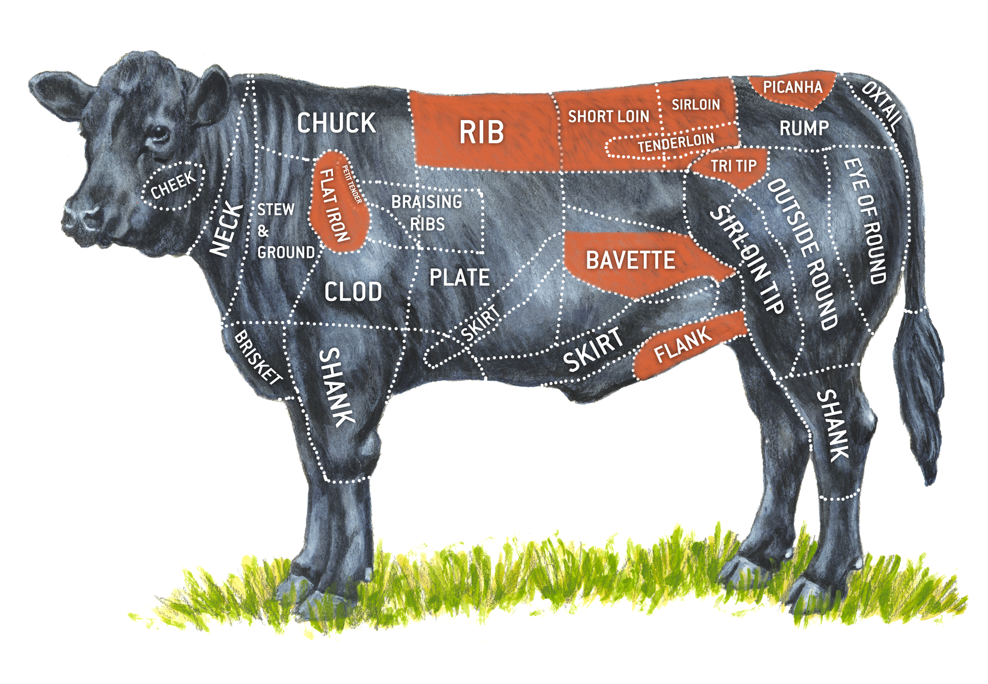 Detail Cuts Of Beef Images Nomer 41