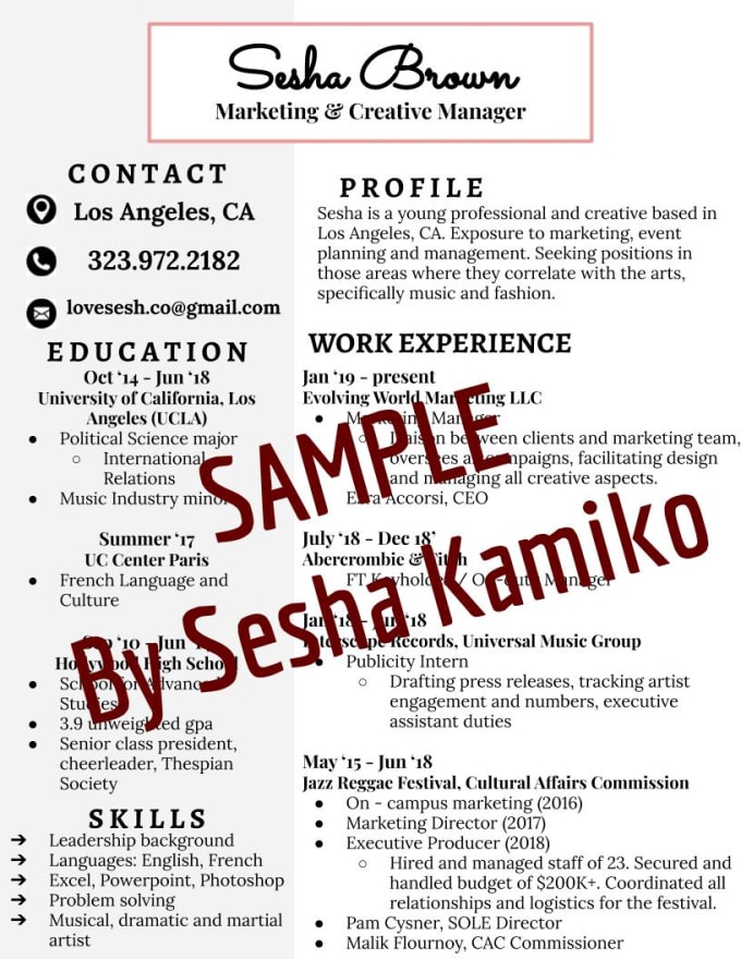 Detail Cv Aesthetic Nomer 49