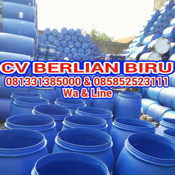 Detail Cv Berlian Biru Nomer 17