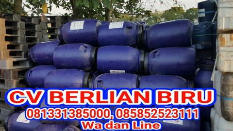 Detail Cv Berlian Biru Nomer 25