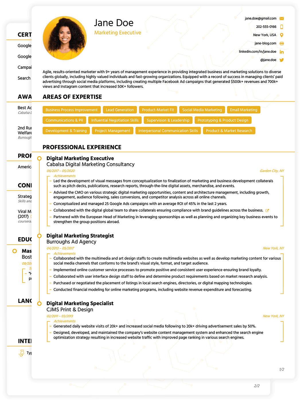 Detail Cv Design Png Nomer 45