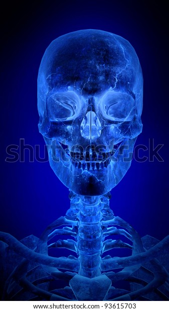 Detail Cyborg Skull X Ray Nomer 42