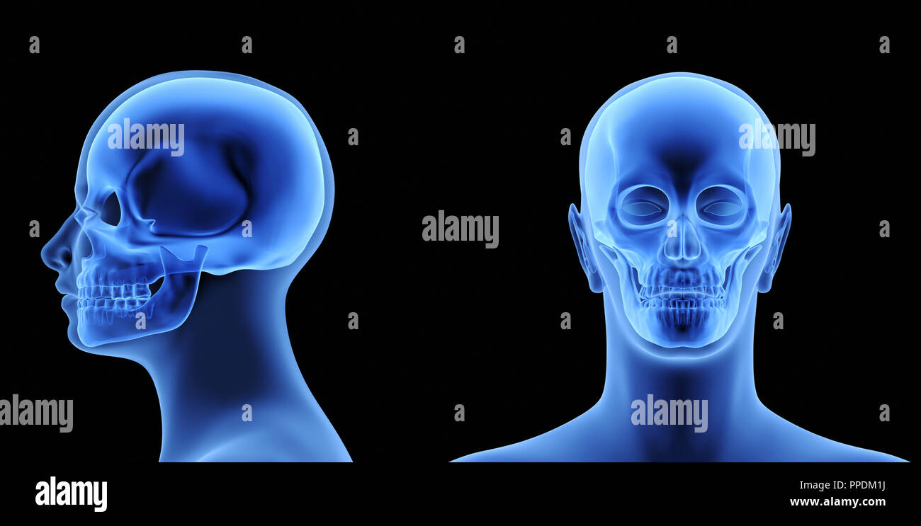 Detail Cyborg Skull X Ray Nomer 54