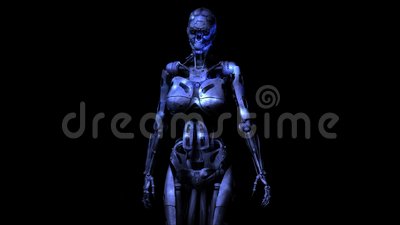Detail Cyborg Skull X Ray Nomer 57
