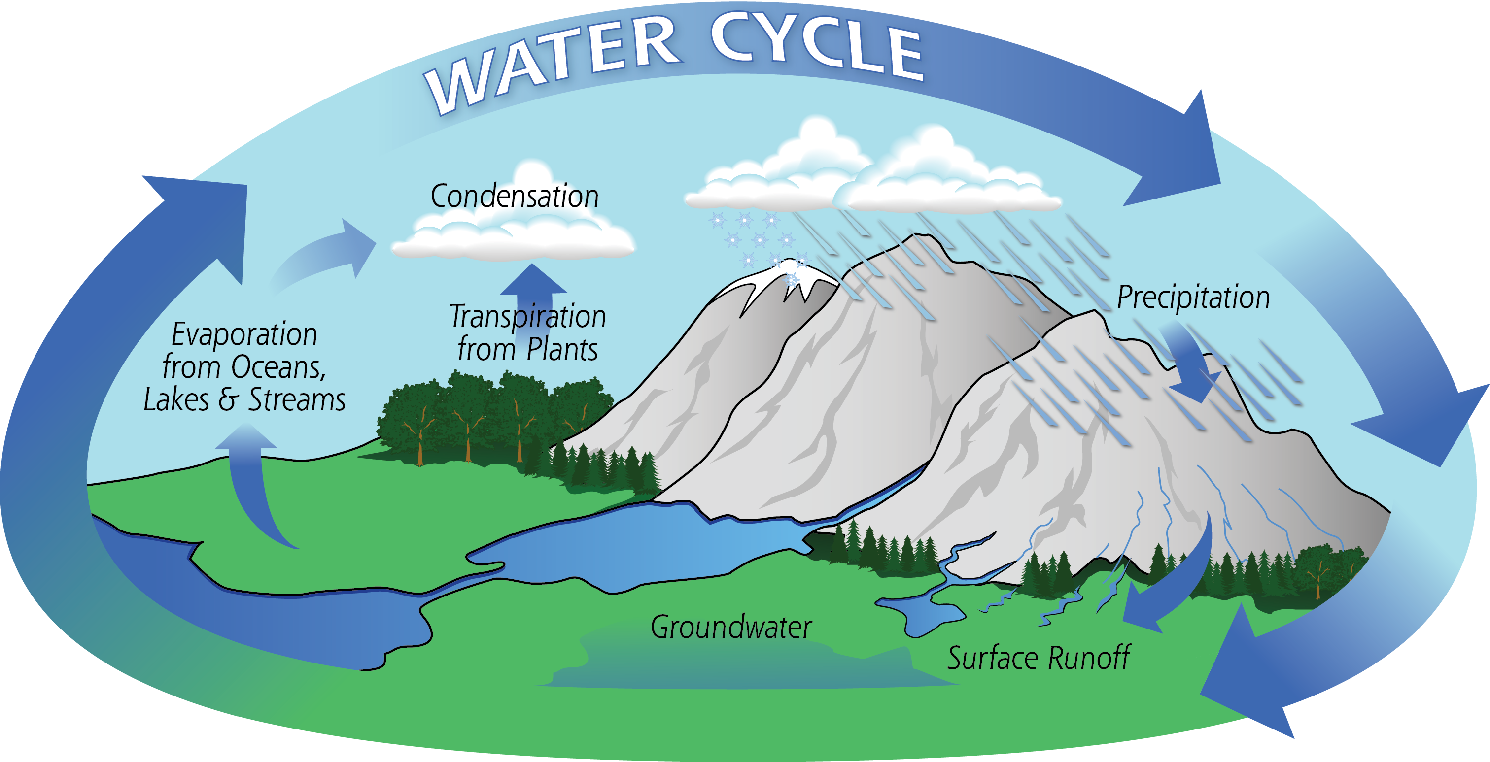 Detail Cycle Pic Nomer 31