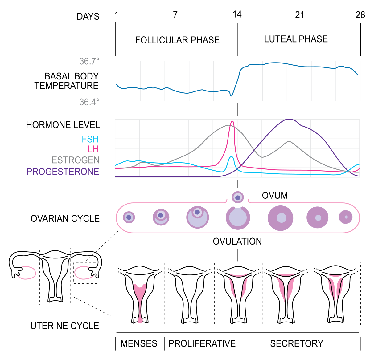 Detail Cycle Pic Nomer 38