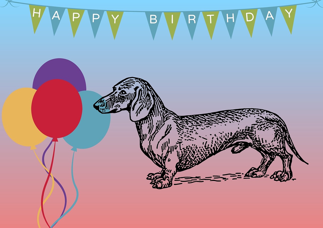 Detail Dachshund Birthday Cards Free Nomer 48