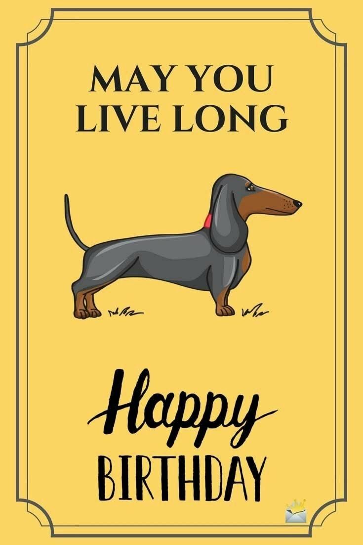 Detail Dachshund Birthday Cards Free Nomer 7