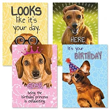 Detail Dachshund Birthday Images Nomer 40