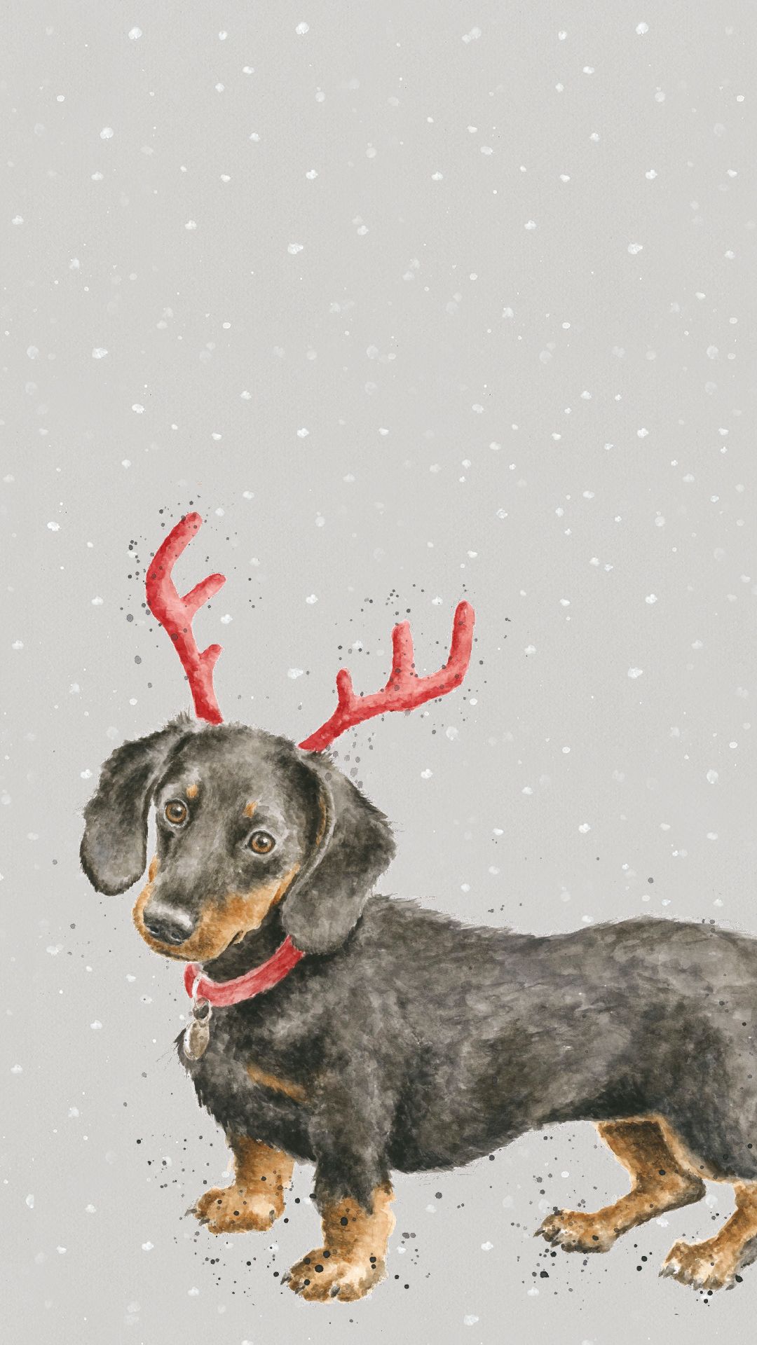Dachshund Christmas Wallpaper - KibrisPDR