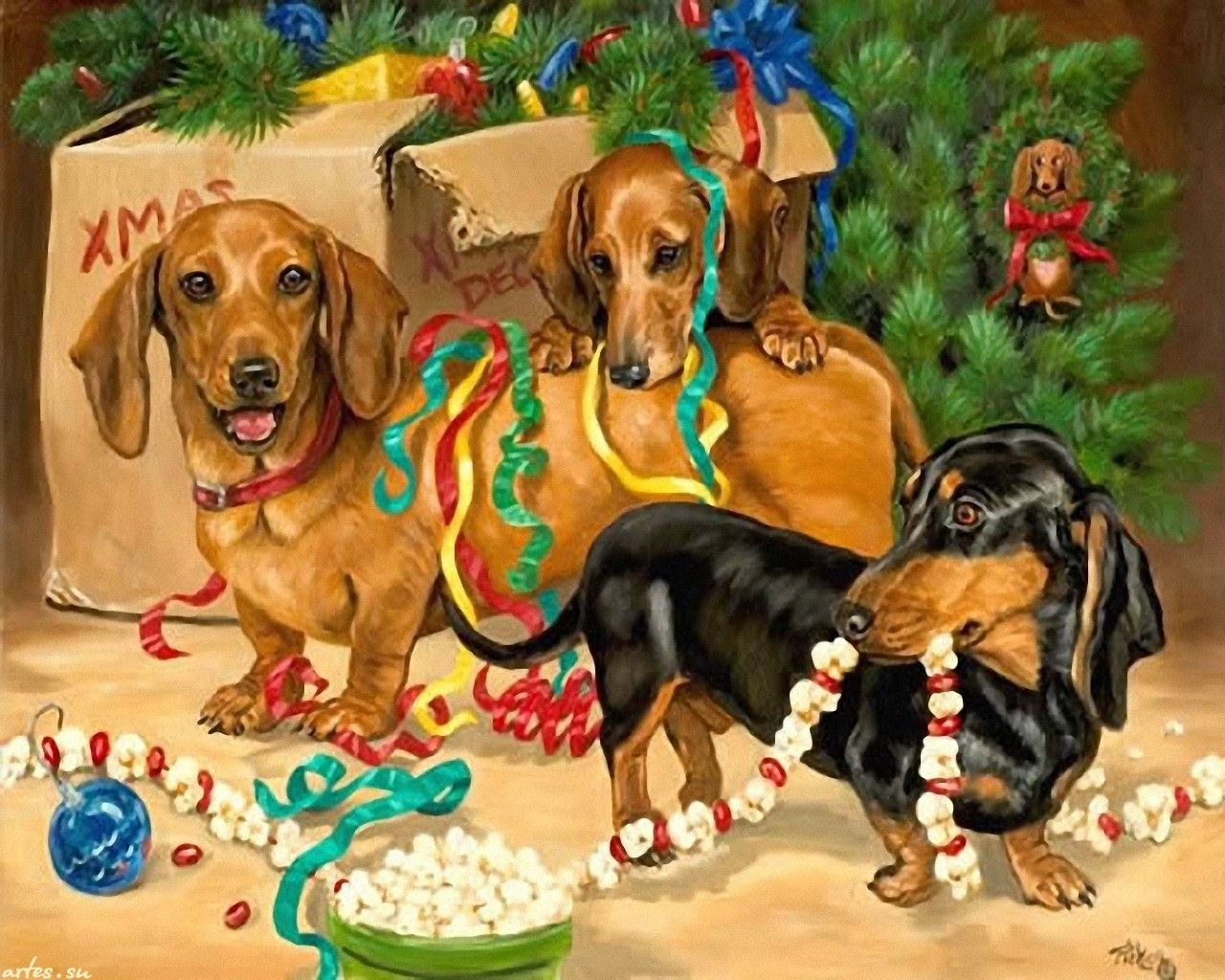 Detail Dachshund Christmas Wallpaper Nomer 12