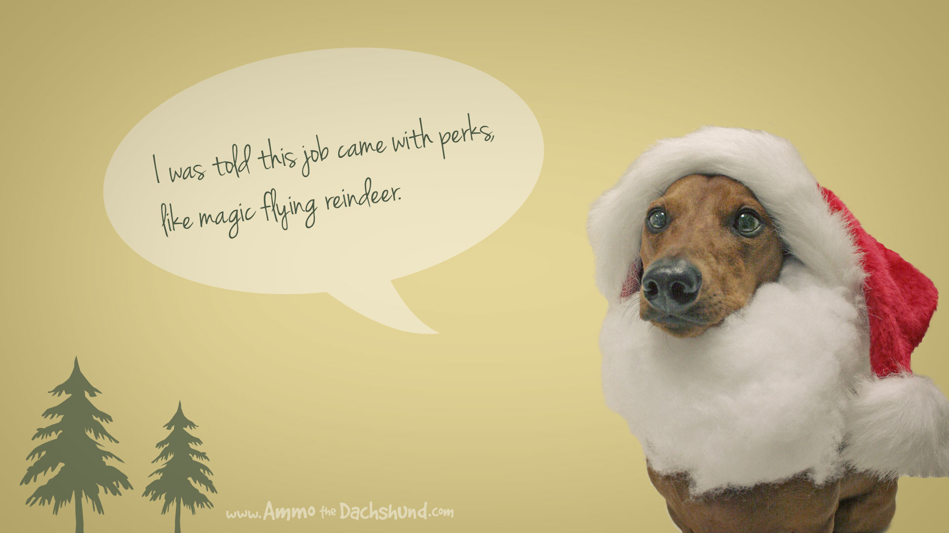 Detail Dachshund Christmas Wallpaper Nomer 14