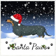 Detail Dachshund Christmas Wallpaper Nomer 29