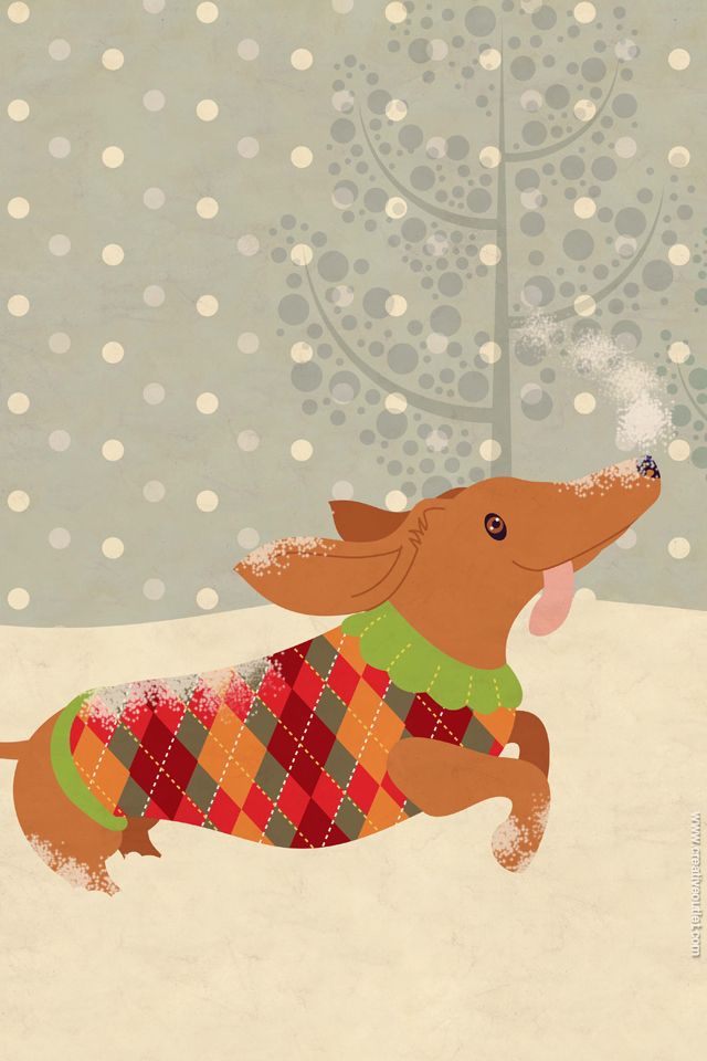 Detail Dachshund Christmas Wallpaper Nomer 7