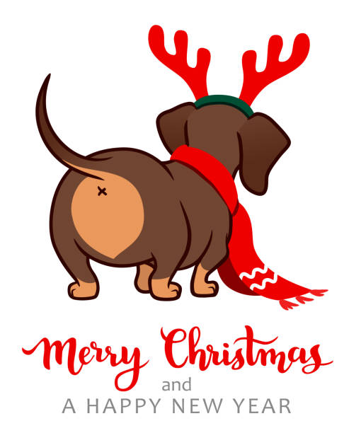 Detail Dachshund Christmas Wallpaper Nomer 9