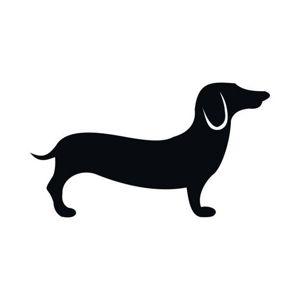 Detail Dachshund Clipart Black And White Nomer 2