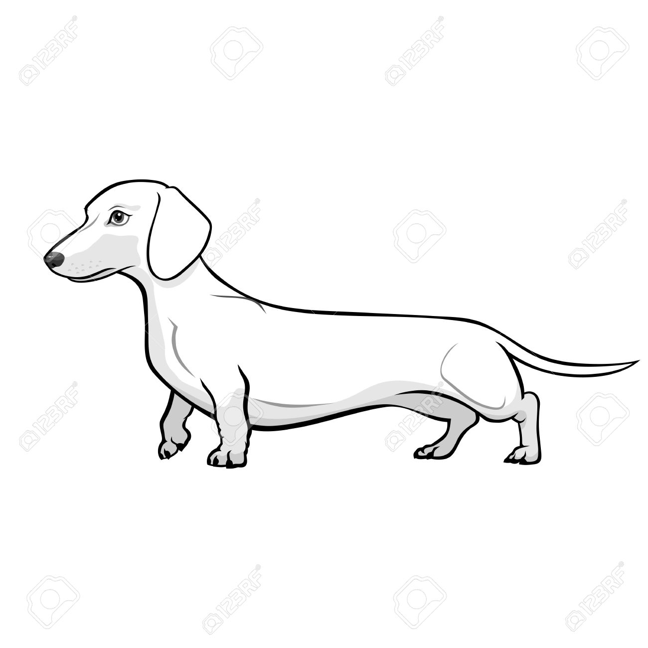 Detail Dachshund Clipart Black And White Nomer 11