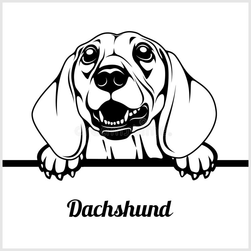 Detail Dachshund Clipart Black And White Nomer 17