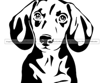 Detail Dachshund Clipart Black And White Nomer 32