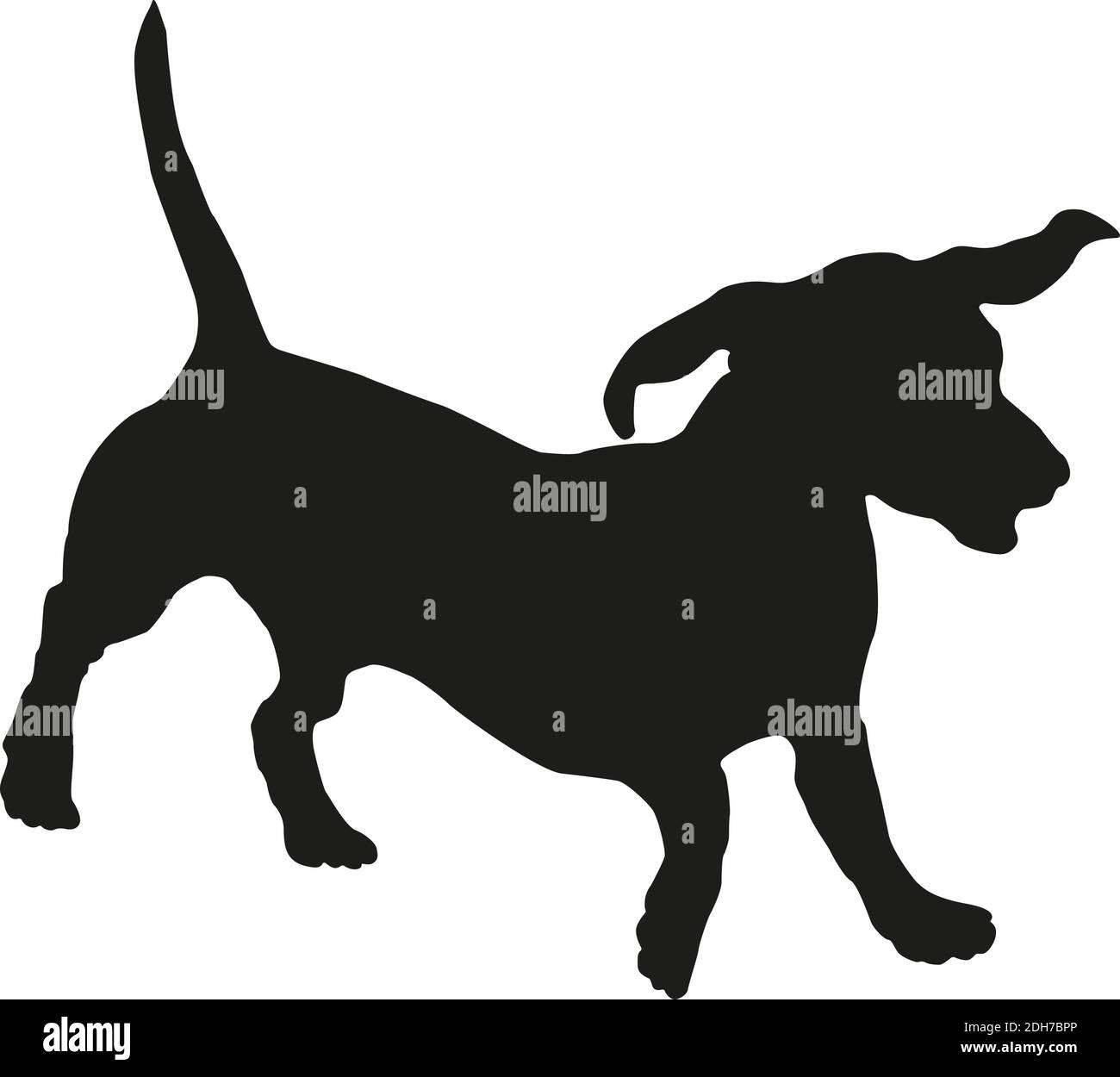 Detail Dachshund Clipart Black And White Nomer 40