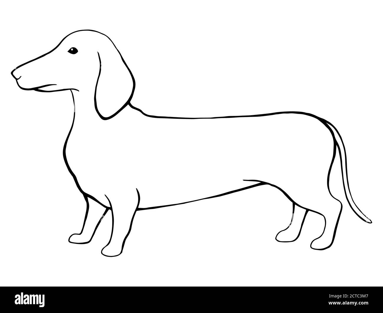 Detail Dachshund Clipart Black And White Nomer 42